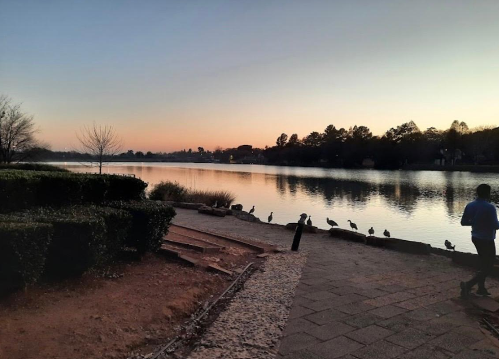 Emmarentia Dam